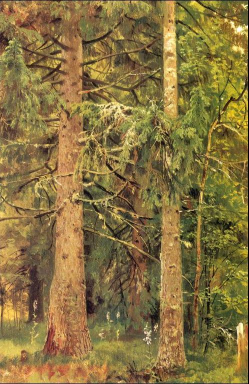 Ivan Shishkin Fir Forest